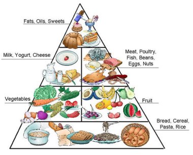 Diabetic Nutrition Chart