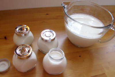 yogurt yogurt